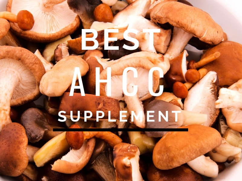 Best AHCC Supplement
