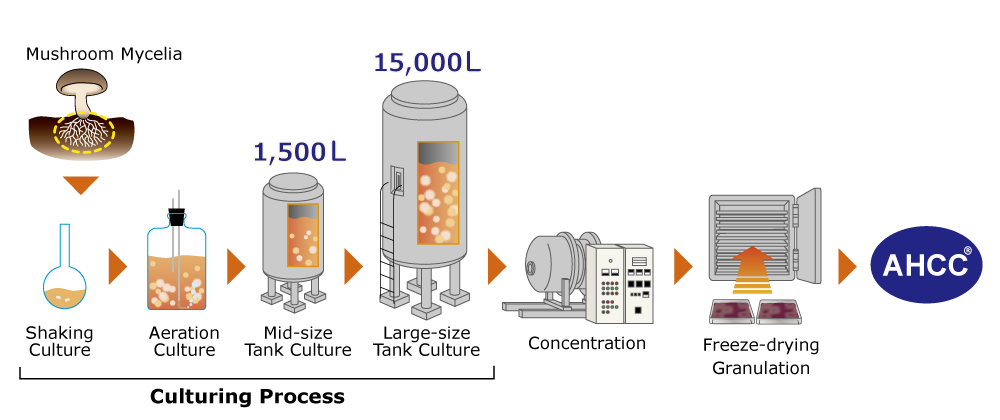 Material manufacturing steps ahcc