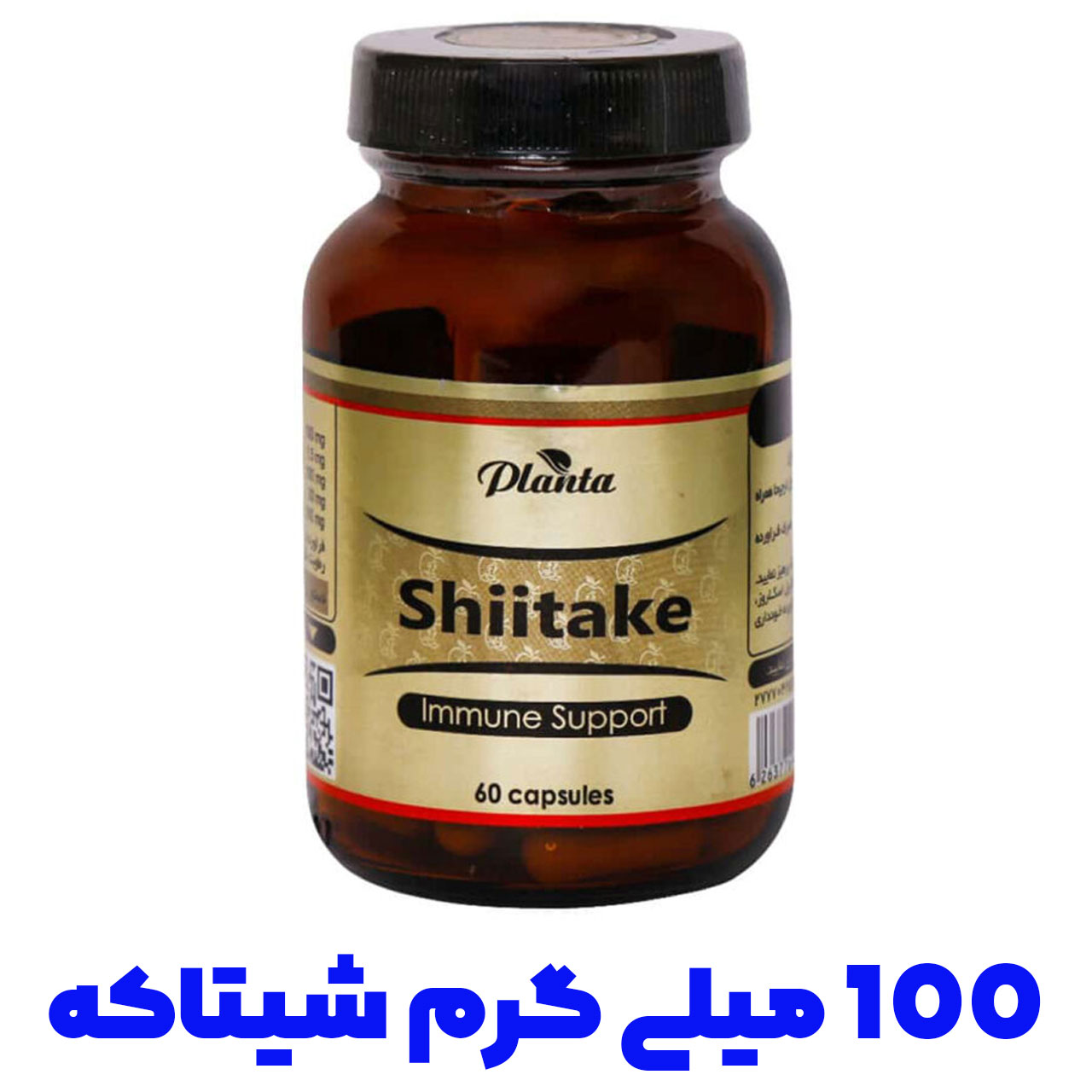 shiitake 100